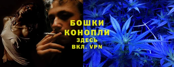 ПСИЛОЦИБИНОВЫЕ ГРИБЫ Вяземский