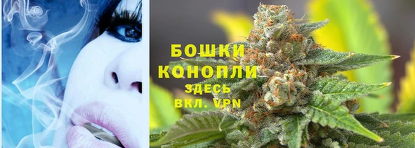 героин Бикин