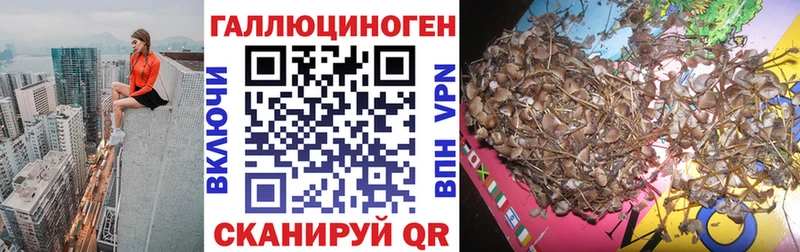 как найти закладки  ссылка на мегу онион  Галлюциногенные грибы Psilocybine cubensis  Сальск 