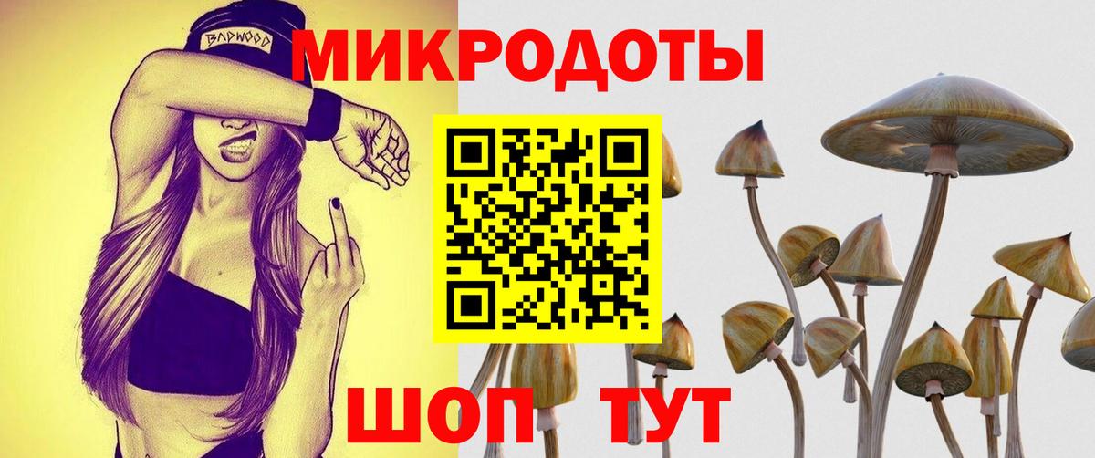 Сальск  Галлюциногенные грибы MAGIC MUSHROOMS  Вход с VPN 