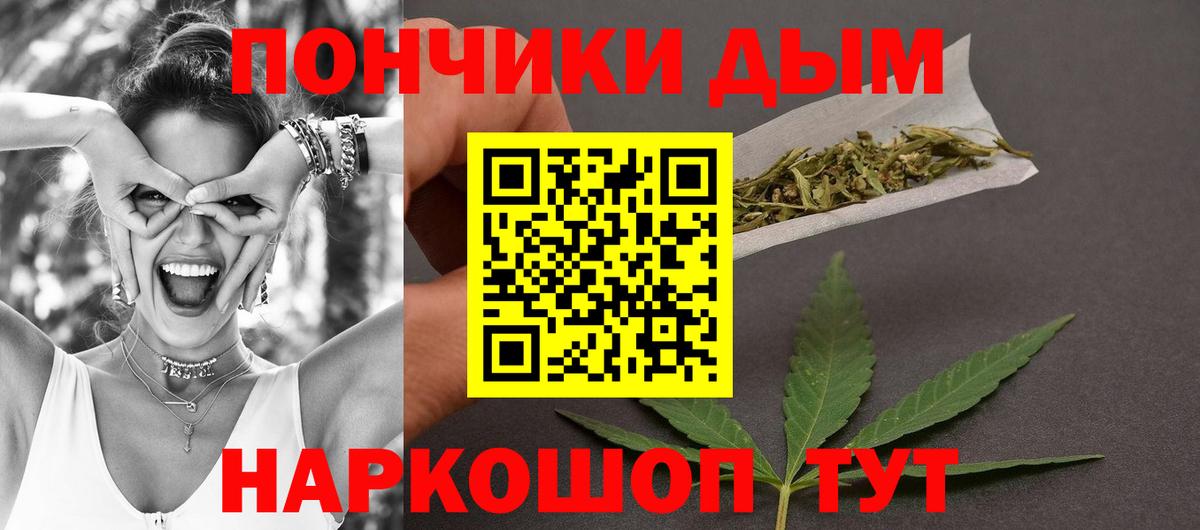 Каннабис планчик Сальск